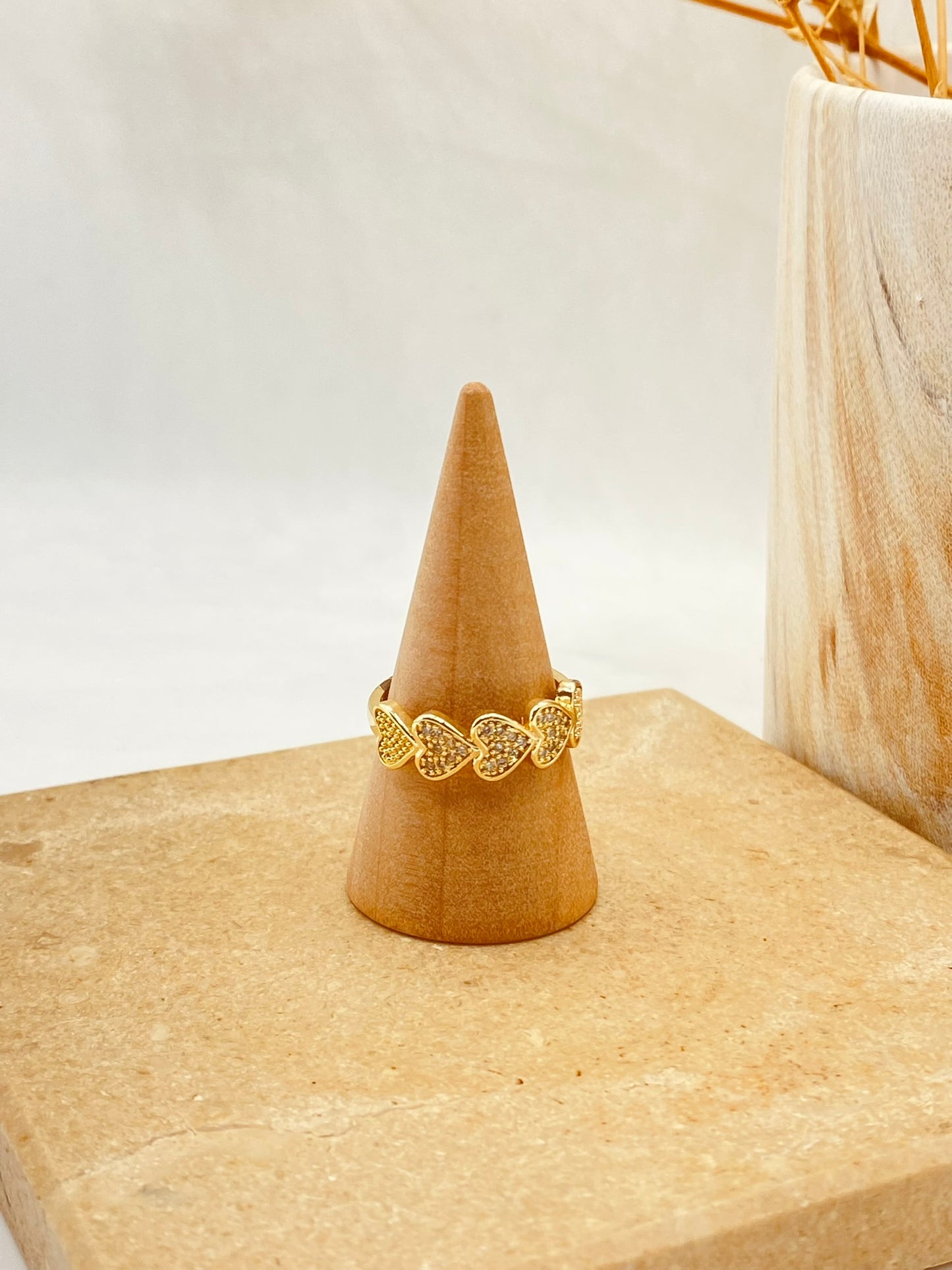 ANILLO LEO