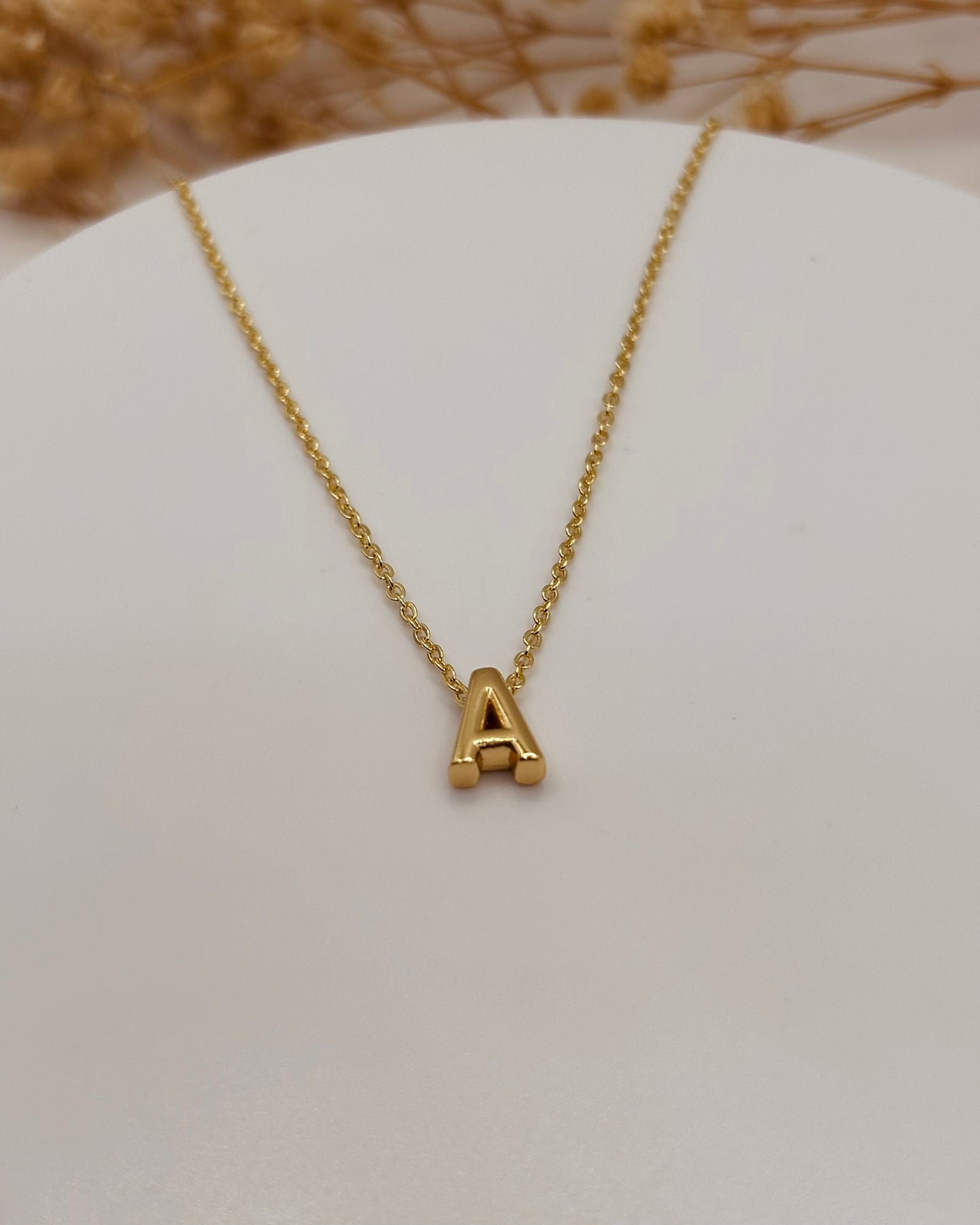 COLLAR INICIAL