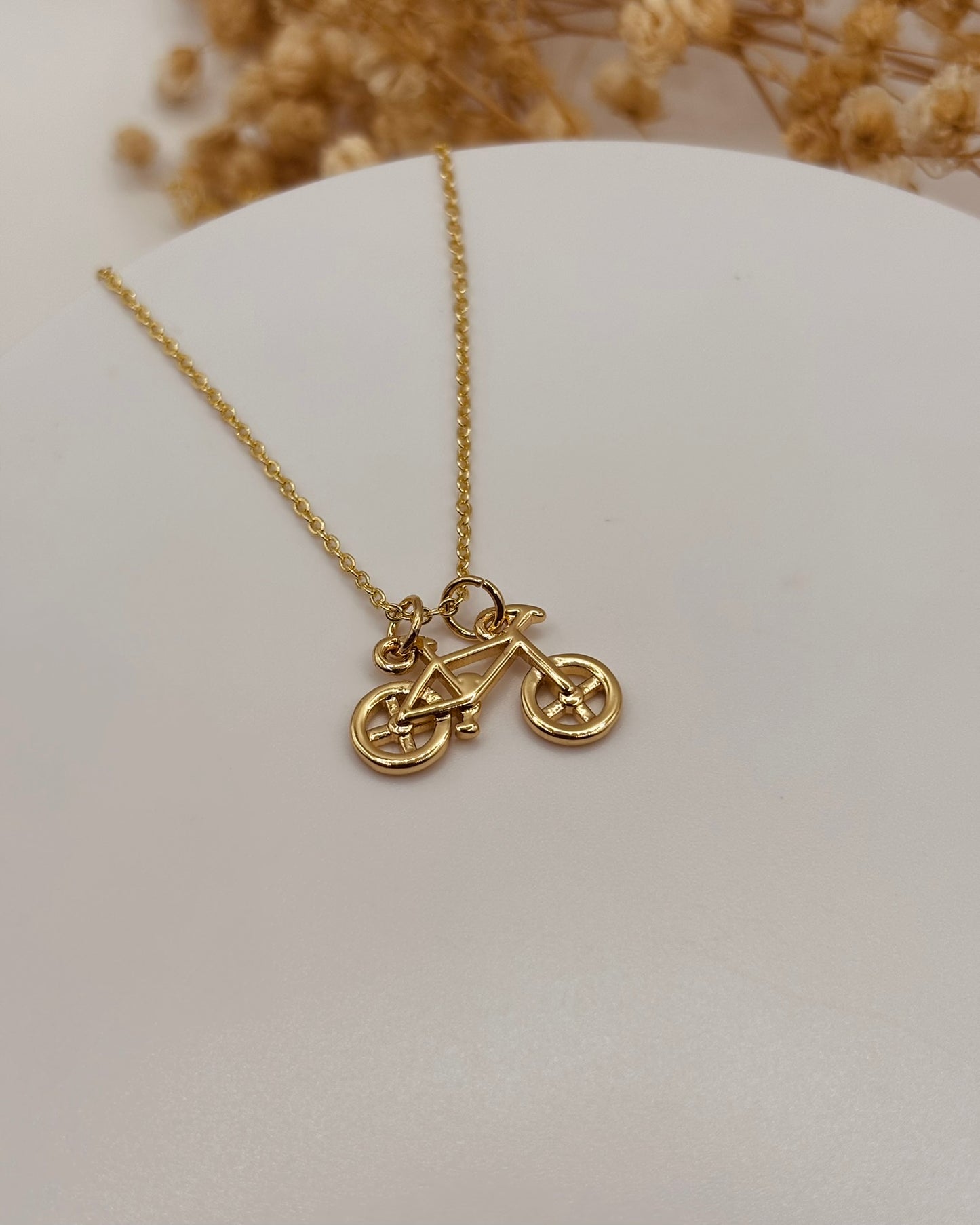 COLLAR BICICLETA