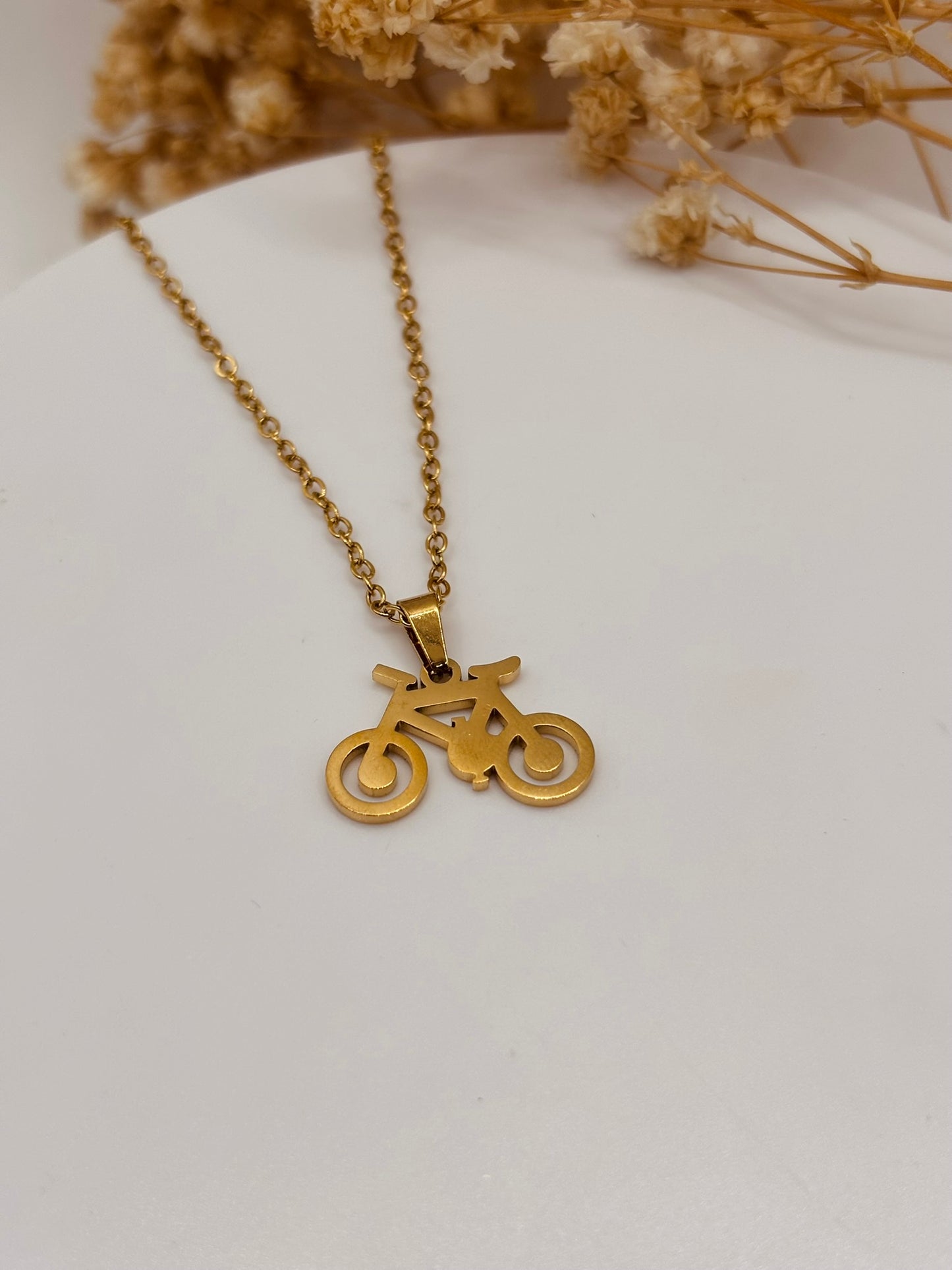 COLLAR BICICLETA 2