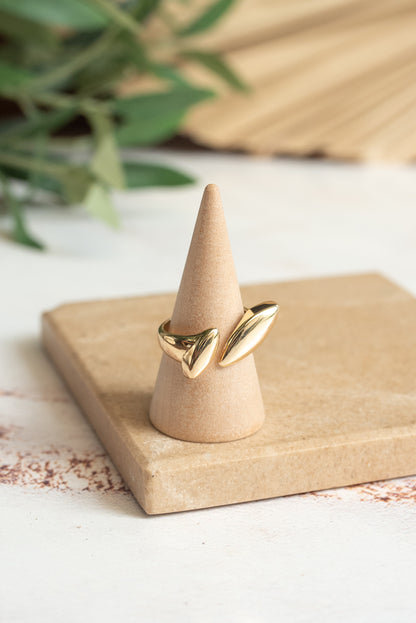 ANILLO KAROL