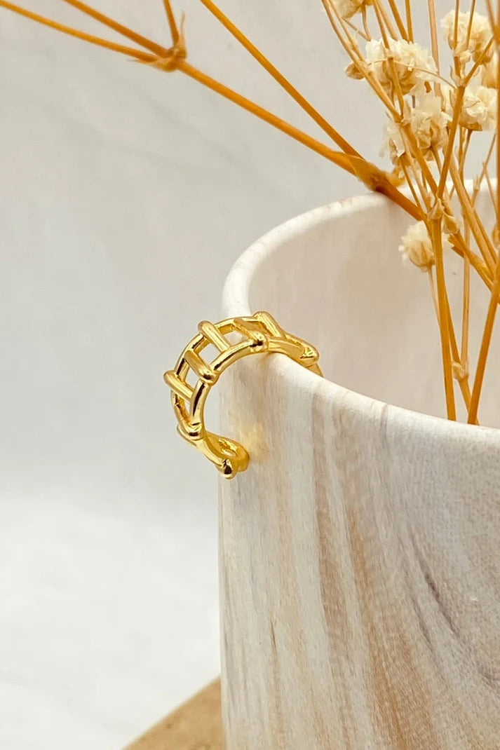 EARCUFF VARIEDAD