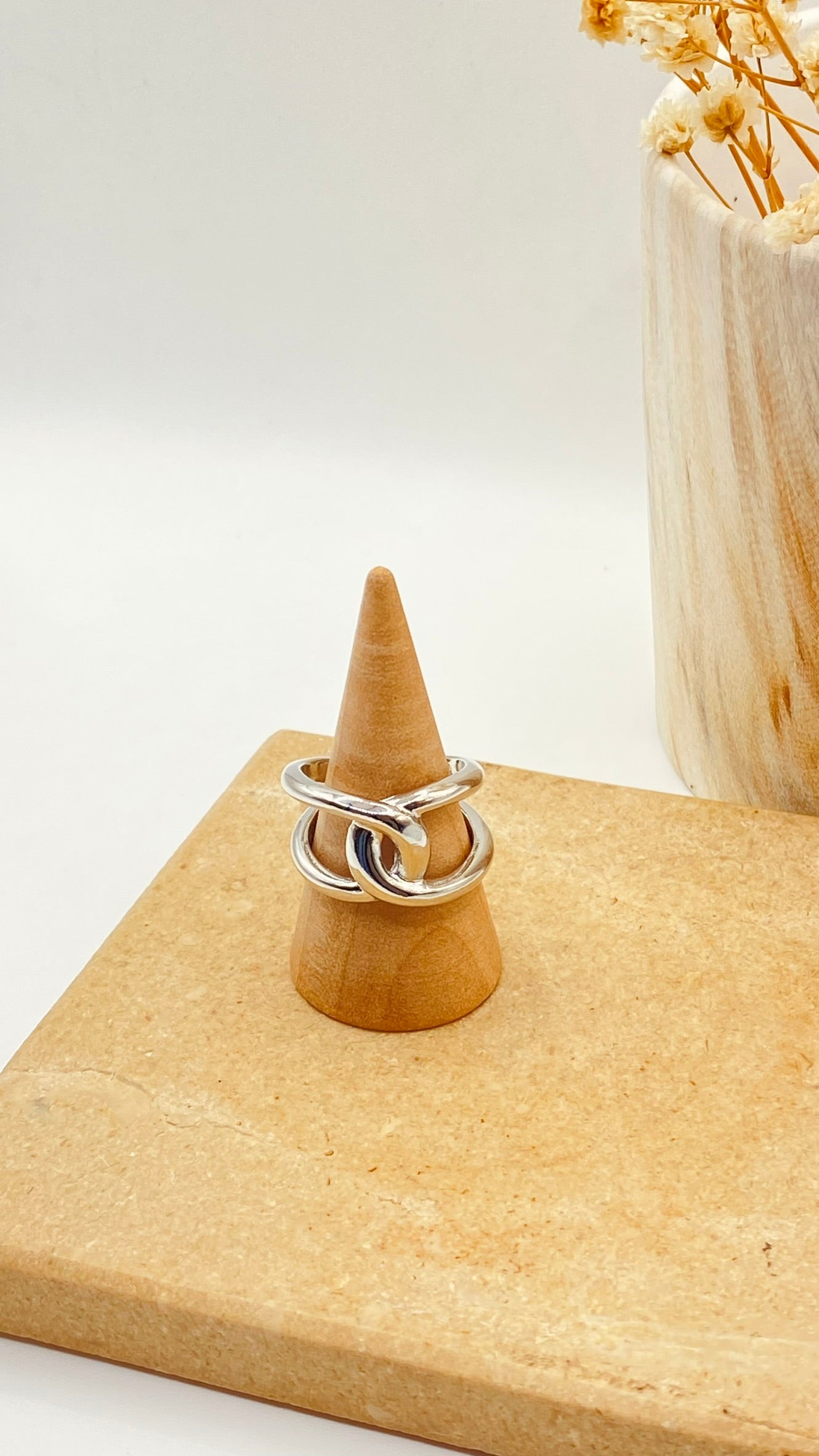 ANILLO BRI