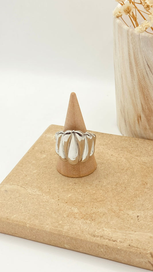 ANILLO JIME