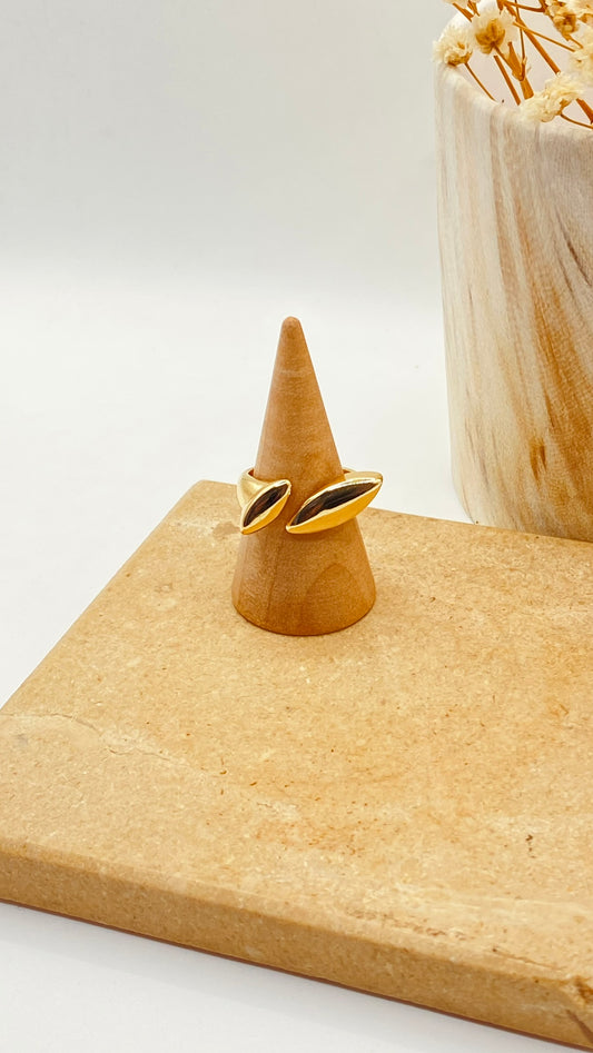 ANILLO RAQUEL