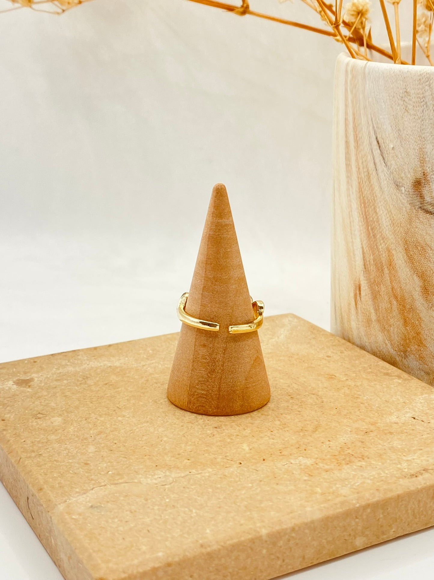 ANILLO LEO