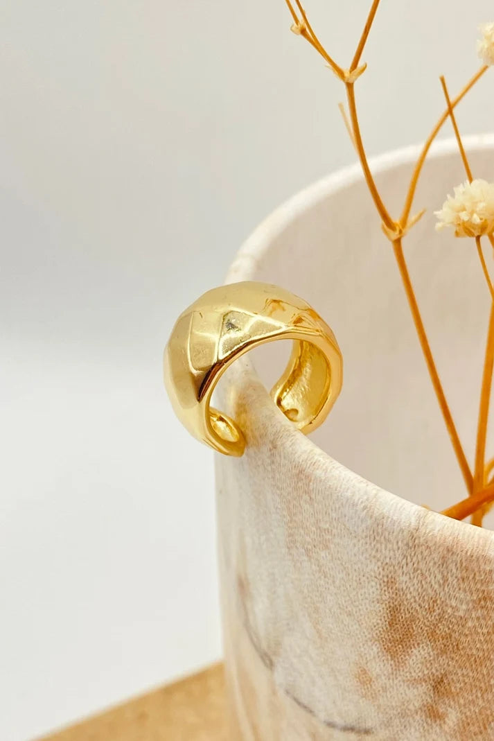 EARCUFF VARIEDAD